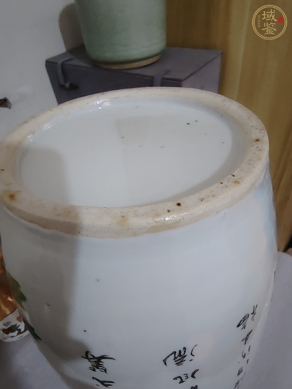 古玩陶瓷淺絳彩花鳥(niǎo)紋雙鋪首瓶真品鑒賞圖