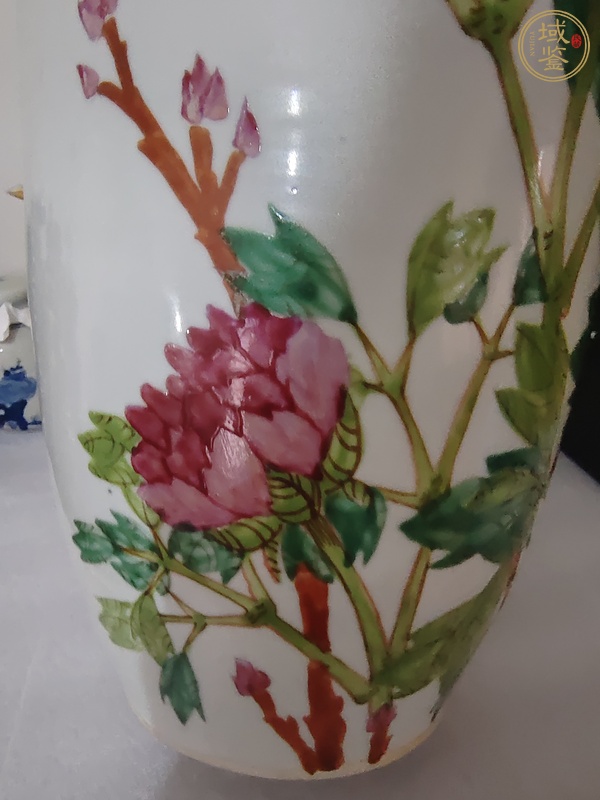 古玩陶瓷淺絳彩花鳥(niǎo)紋雙鋪首瓶真品鑒賞圖