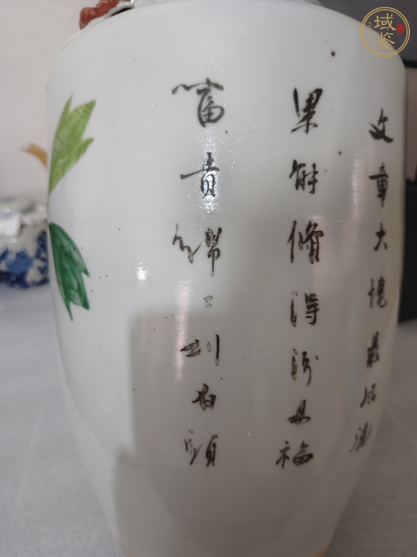 古玩陶瓷淺絳彩花鳥(niǎo)紋雙鋪首瓶真品鑒賞圖