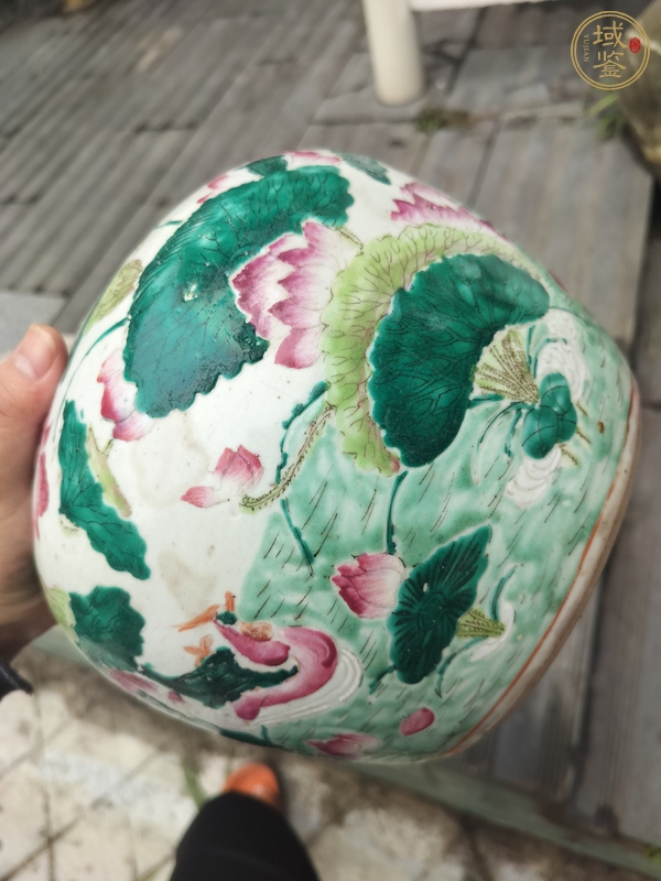 古玩陶瓷粉彩滿池矯紋西瓜罐真品鑒賞圖
