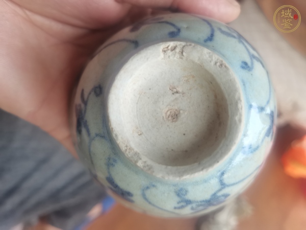 古玩陶瓷青花靈芝紋杯真品鑒賞圖