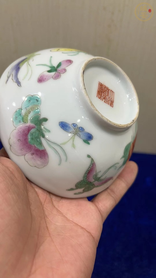 古玩陶瓷粉彩蝴蝶花卉紋碗真品鑒賞圖