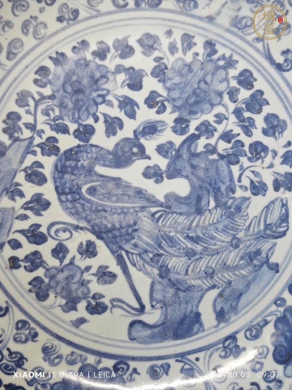 古玩陶瓷青花鳳穿牡丹紋盤真品鑒賞圖