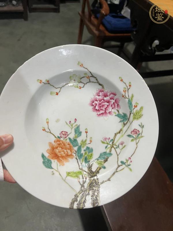 古玩陶瓷粉彩折枝花卉紋盤真品鑒賞圖