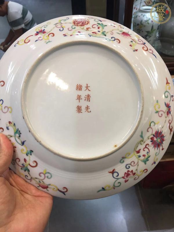 古玩陶瓷龍蝶紋粉彩盤真品鑒賞圖