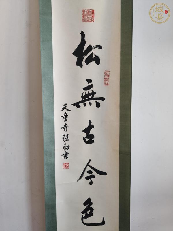 古玩字畫松無古今色真品鑒賞圖