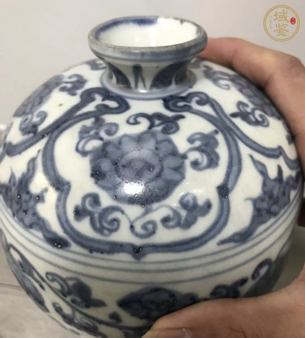 古玩陶瓷青花纏枝花卉梅瓶真品鑒賞圖