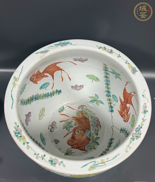 古玩陶瓷粉彩大雅齋風(fēng)格案缸真品鑒賞圖