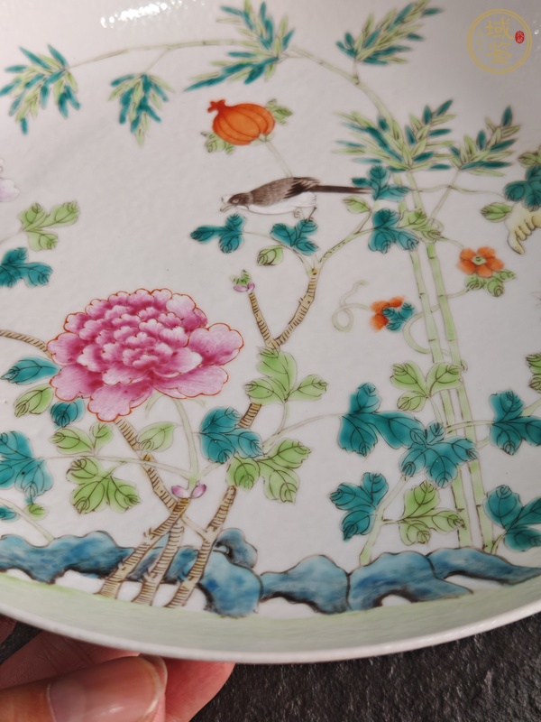 古玩陶瓷粉彩花鳥盤真品鑒賞圖