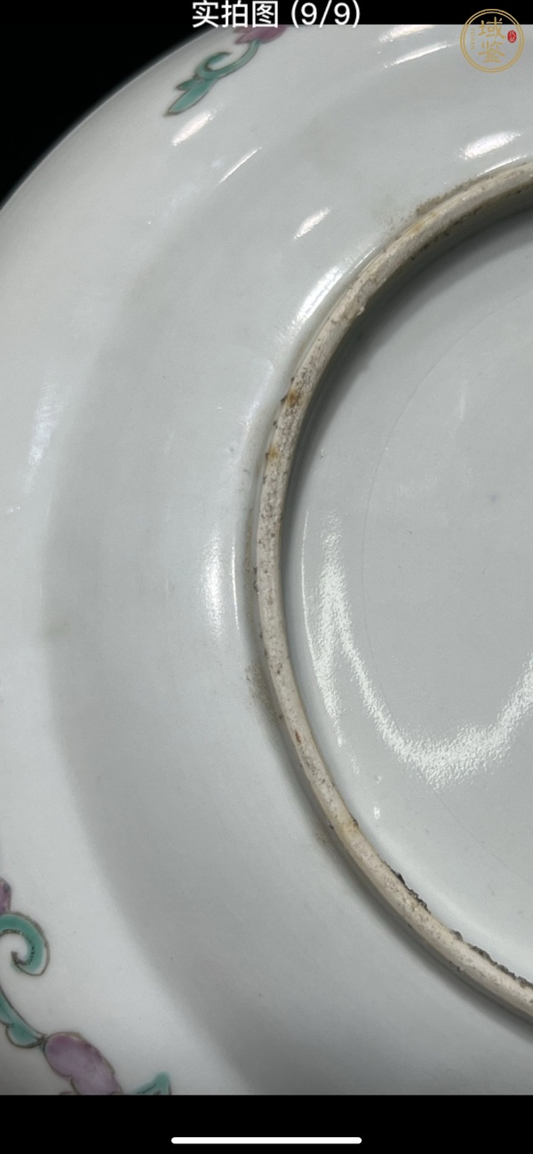 古玩陶瓷花鳥紋粉彩盤真品鑒賞圖