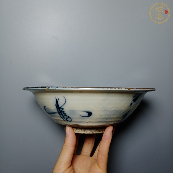 古玩陶瓷青花真品鑒賞圖