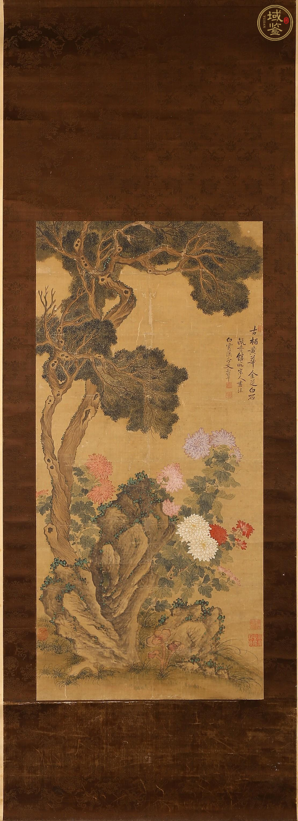 古玩字畫古柏黃華金枝白石真品鑒賞圖