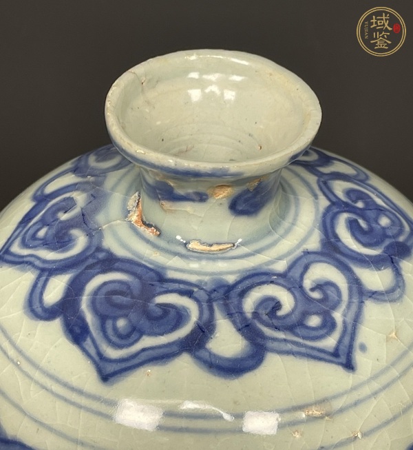 古玩陶瓷青花鸞鳳和鳴紋梅瓶，注意品相真品鑒賞圖