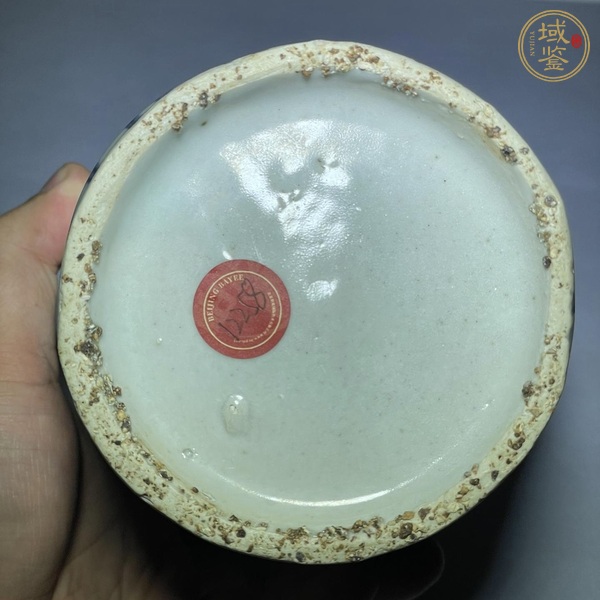 古玩陶瓷青花龍紋梅瓶真品鑒賞圖