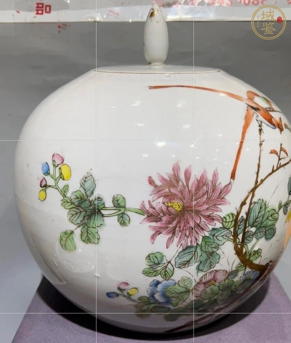 古玩陶瓷粉彩花鳥紋西瓜罐真品鑒賞圖