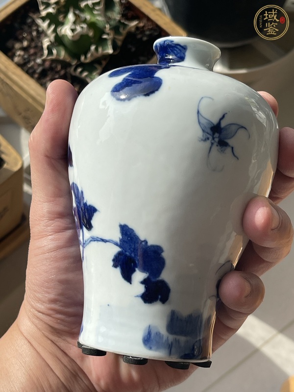 古玩陶瓷光緒青花梅瓶真品鑒賞圖