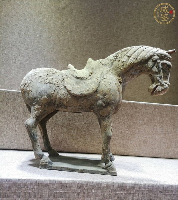 古玩陶瓷陶馬真品鑒賞圖