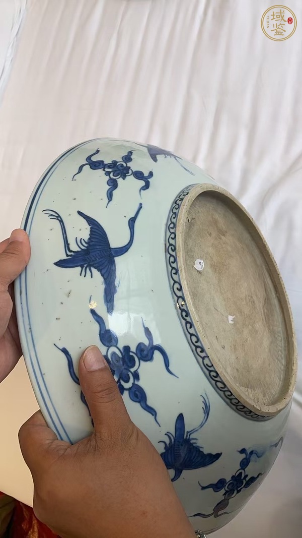 古玩陶瓷明萬歷青花鳳穿花卉紋盤真品鑒賞圖