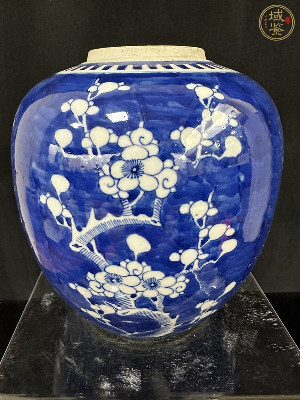 古玩陶瓷青花冰梅花卉紋罐真品鑒賞圖