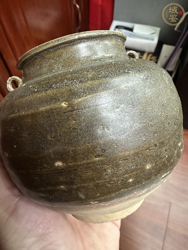 古玩瓷器金元時(shí)期茶葉末釉雙系罐真品鑒賞圖