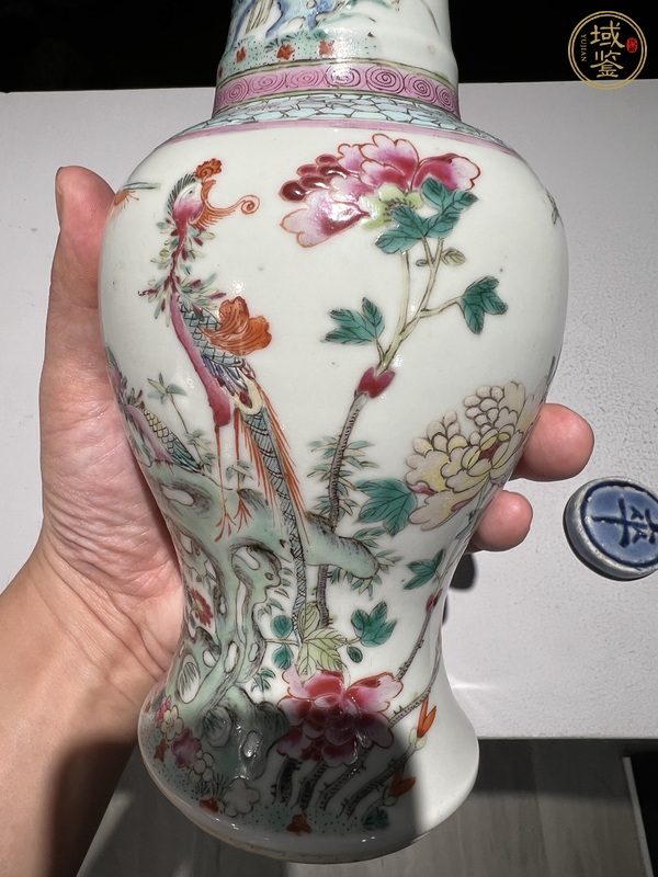 古玩陶瓷粉彩鳳尾尊真品鑒賞圖