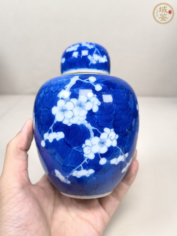 古玩陶瓷青花留白冰梅紋蓋罐真品鑒賞圖