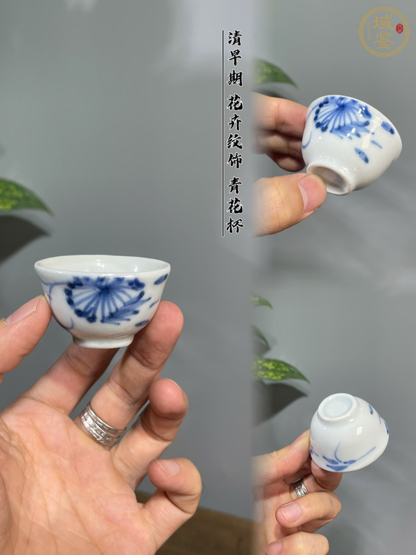 古玩陶瓷青花扁菊圖茶杯真品鑒賞圖