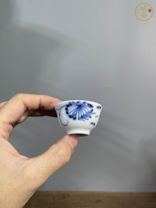 古玩陶瓷青花扁菊?qǐng)D茶杯真品鑒賞圖