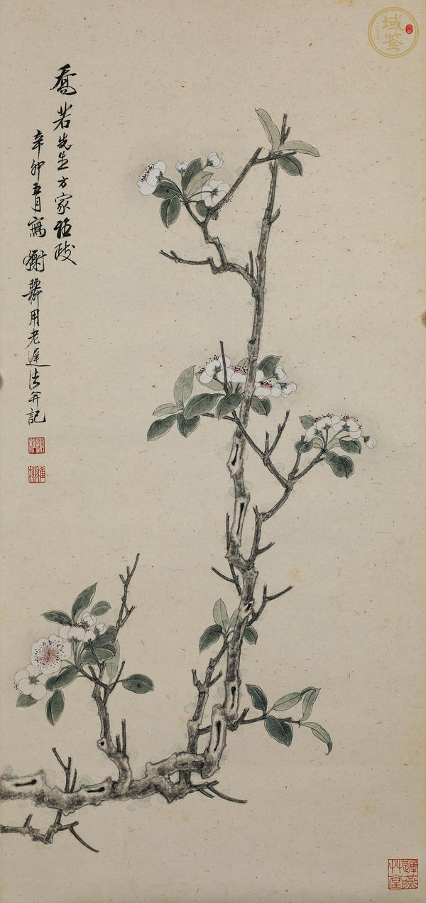 古玩字畫(huà)謝稚柳款小寫(xiě)意花鳥(niǎo)真品鑒賞圖