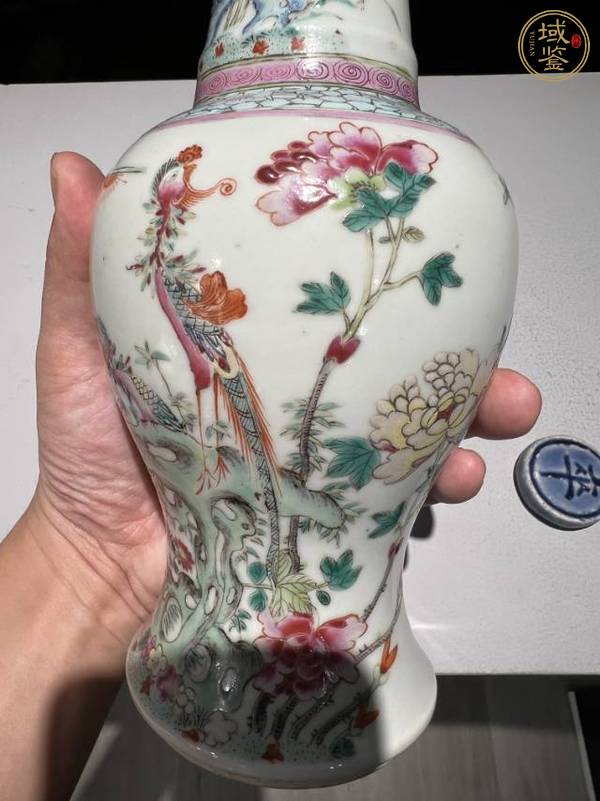 古玩陶瓷清晚期粉彩花鳥紋鳳尾尊真品鑒賞圖