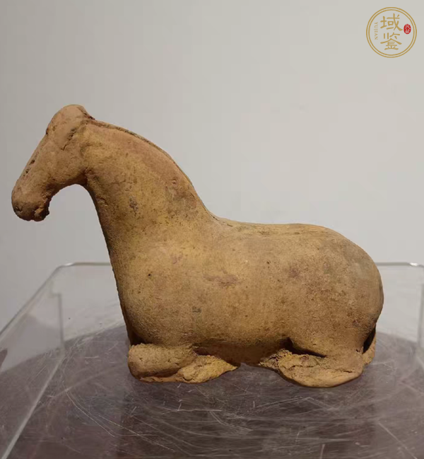 古玩陶瓷陶馬真品鑒賞圖