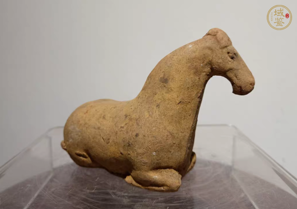 古玩陶瓷陶馬真品鑒賞圖