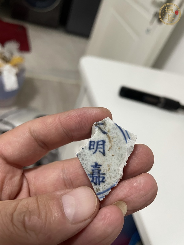 古玩陶瓷康熙標本真品鑒賞圖