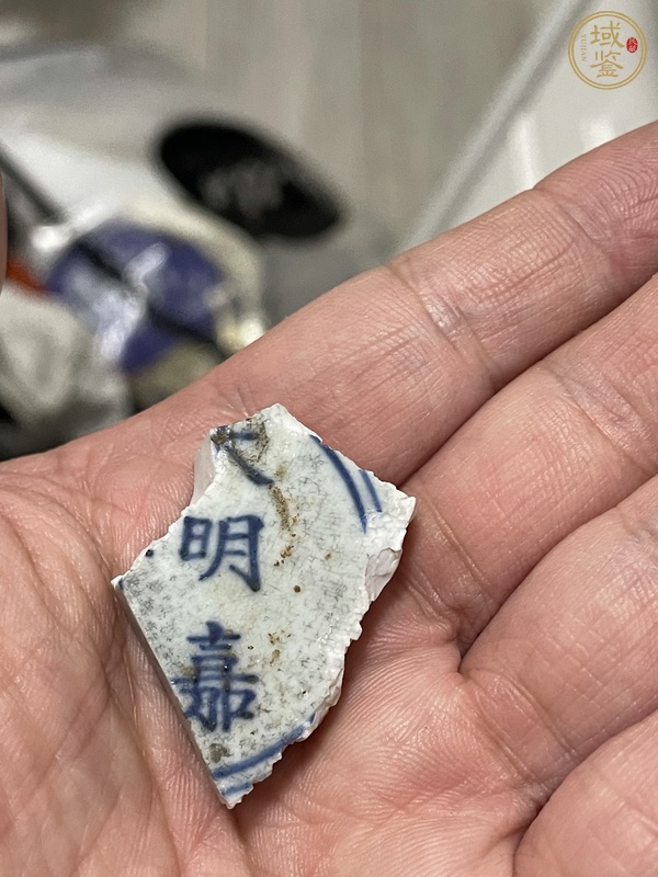 古玩陶瓷康熙標本真品鑒賞圖