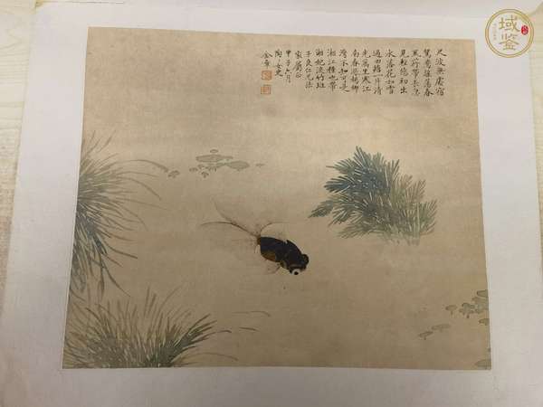 古玩金魚真品鑒賞圖