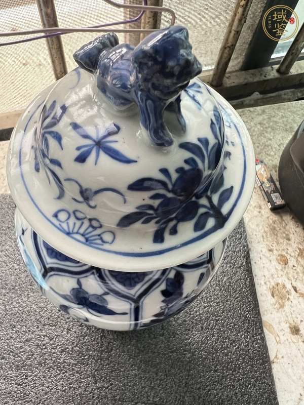 古玩陶瓷青花蓮瓣開光仕女花卉紋獅鈕蓋瓶真品鑒賞圖