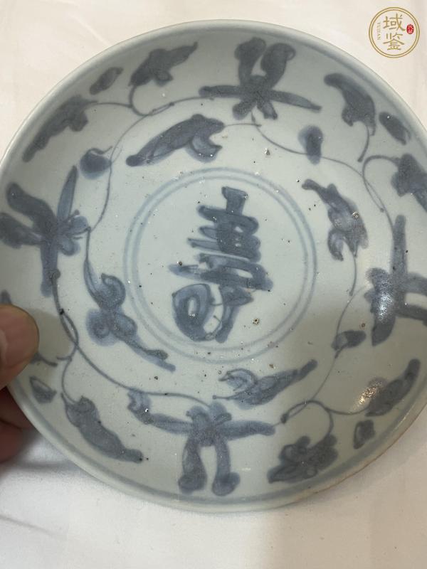 古玩陶瓷青花花間壽紋盤真品鑒賞圖