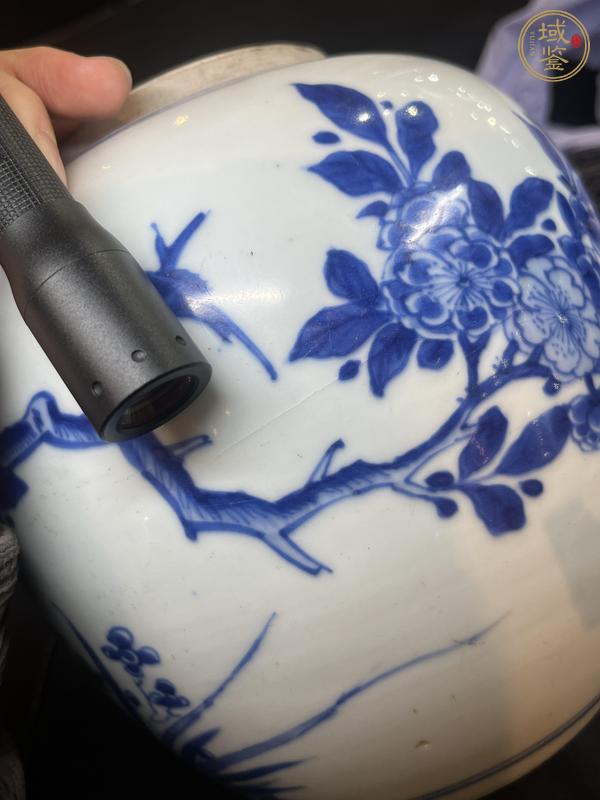 古玩陶瓷康熙青花錦上添花紋罐真品鑒賞圖