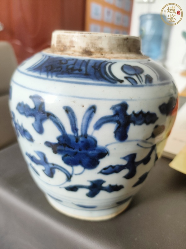 古玩陶瓷青花罐真品鑒賞圖