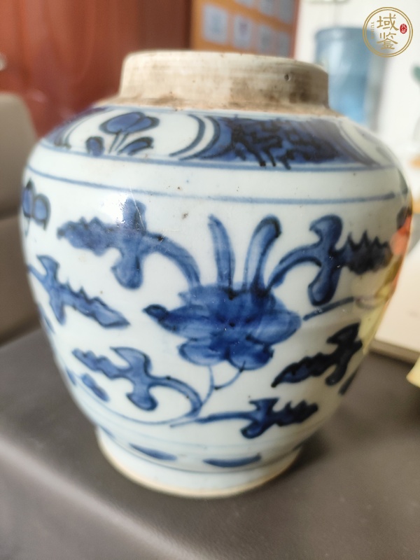 古玩陶瓷青花罐真品鑒賞圖