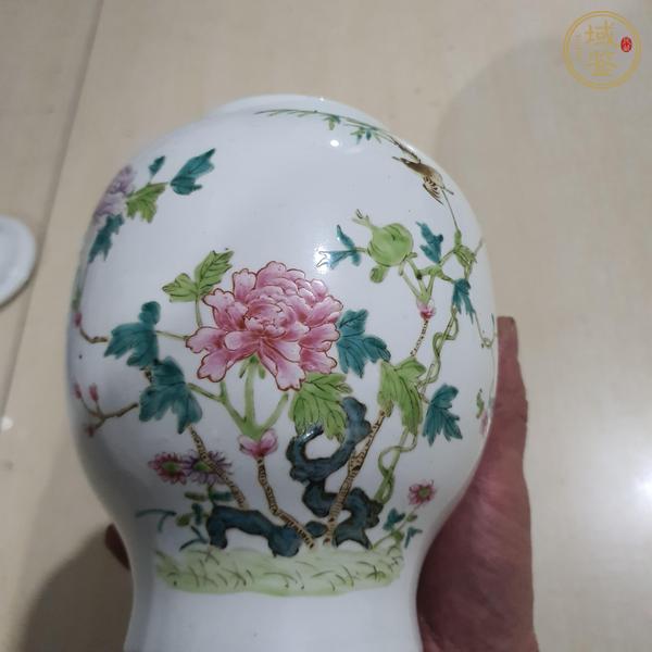 古玩陶瓷粉彩花鳥紋蓋罐真品鑒賞圖