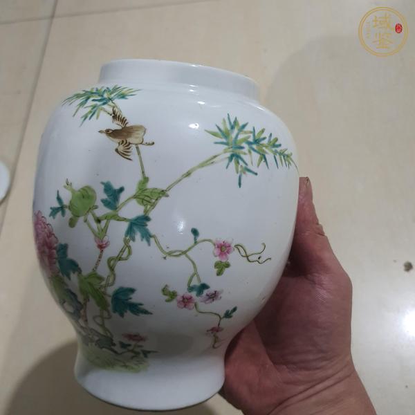 古玩陶瓷花鳥紋粉彩罐真品鑒賞圖