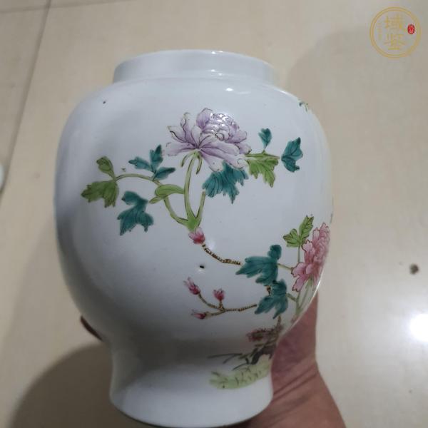 古玩陶瓷花鳥紋粉彩罐真品鑒賞圖