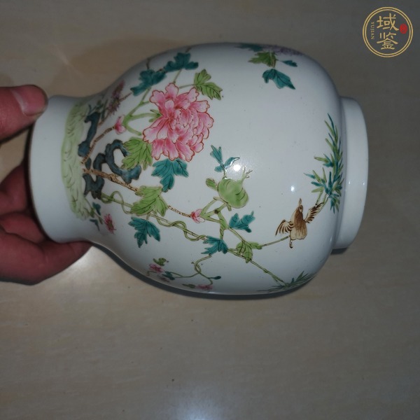 古玩花鳥紋粉彩罐真品鑒賞圖