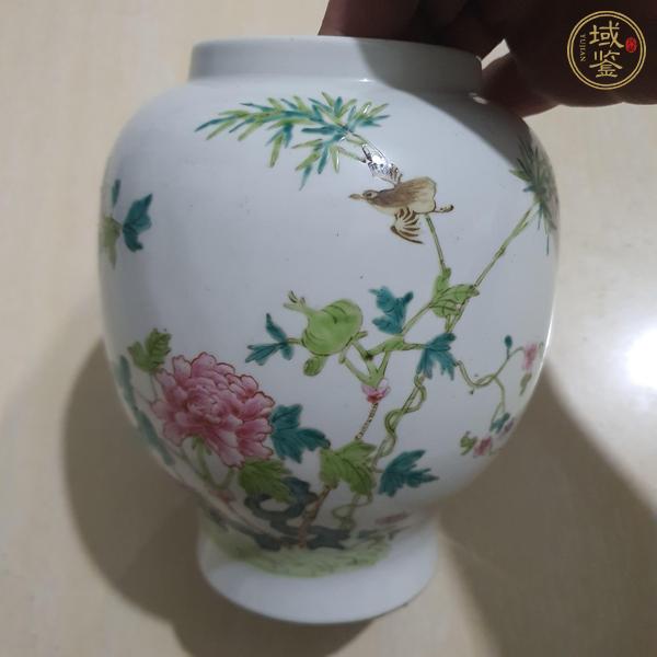 古玩陶瓷粉彩花鳥(niǎo)紋蓋罐真品鑒賞圖