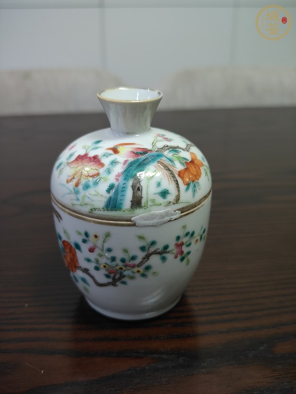 古玩花鳥紋粉彩蓋缸真品鑒賞圖