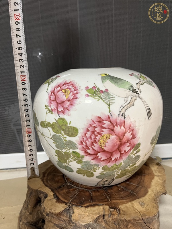 古玩陶瓷花鳥(niǎo)紋淺絳彩西瓜罐真品鑒賞圖