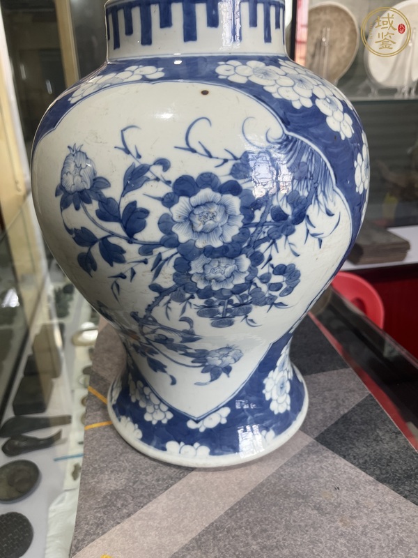 古玩陶瓷青花冰梅開光蝶戀花紋將軍罐真品鑒賞圖