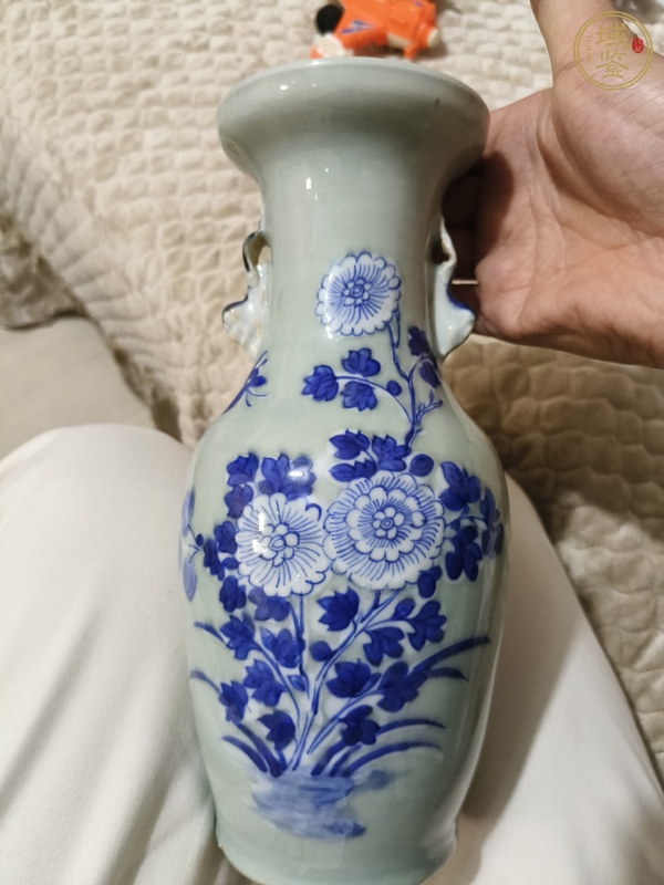 古玩陶瓷豆青釉青花瓶真品鑒賞圖