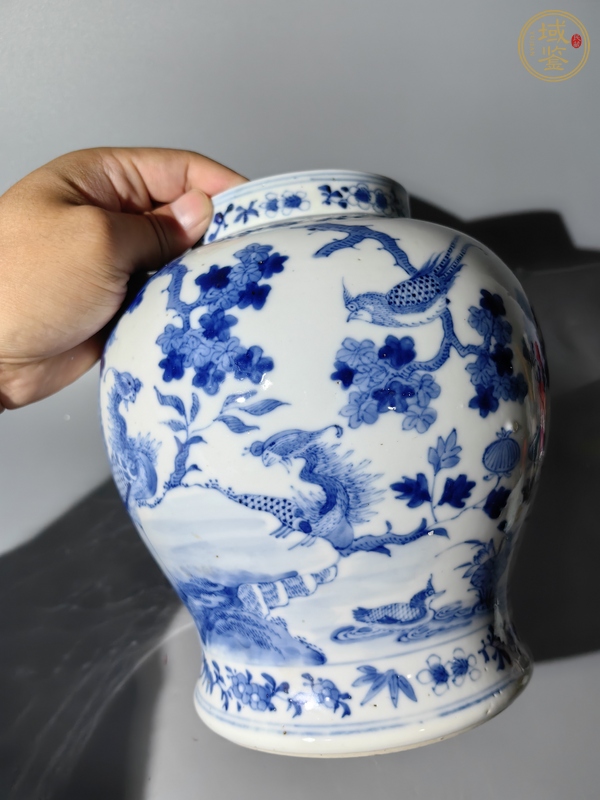 古玩陶瓷青花罐真品鑒賞圖